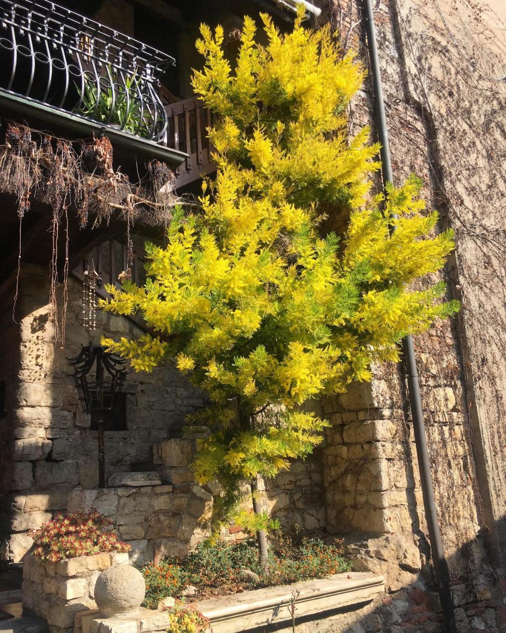 Torre De Salis Bed & Breakfast Gussago Exterior foto